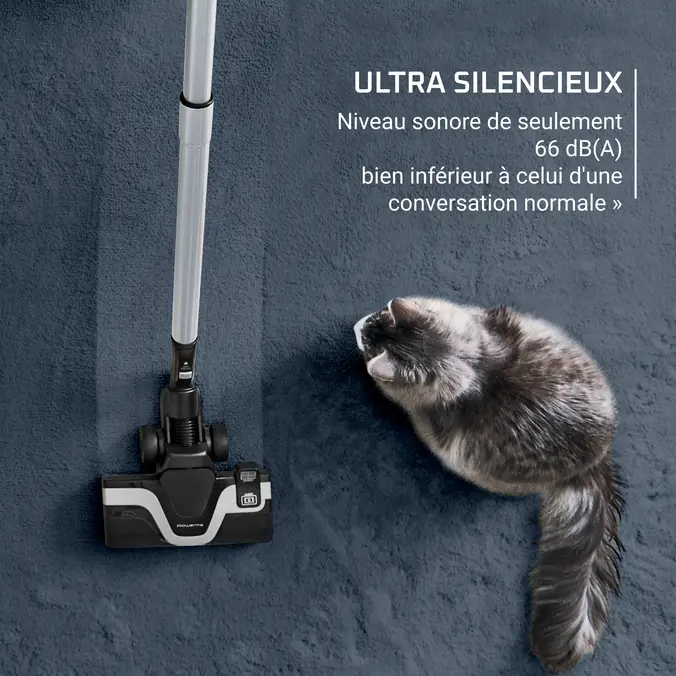 Aspirateur sans sac Rowenta Green Force Cyclonic Effitech+ ,RO7C89EA 5