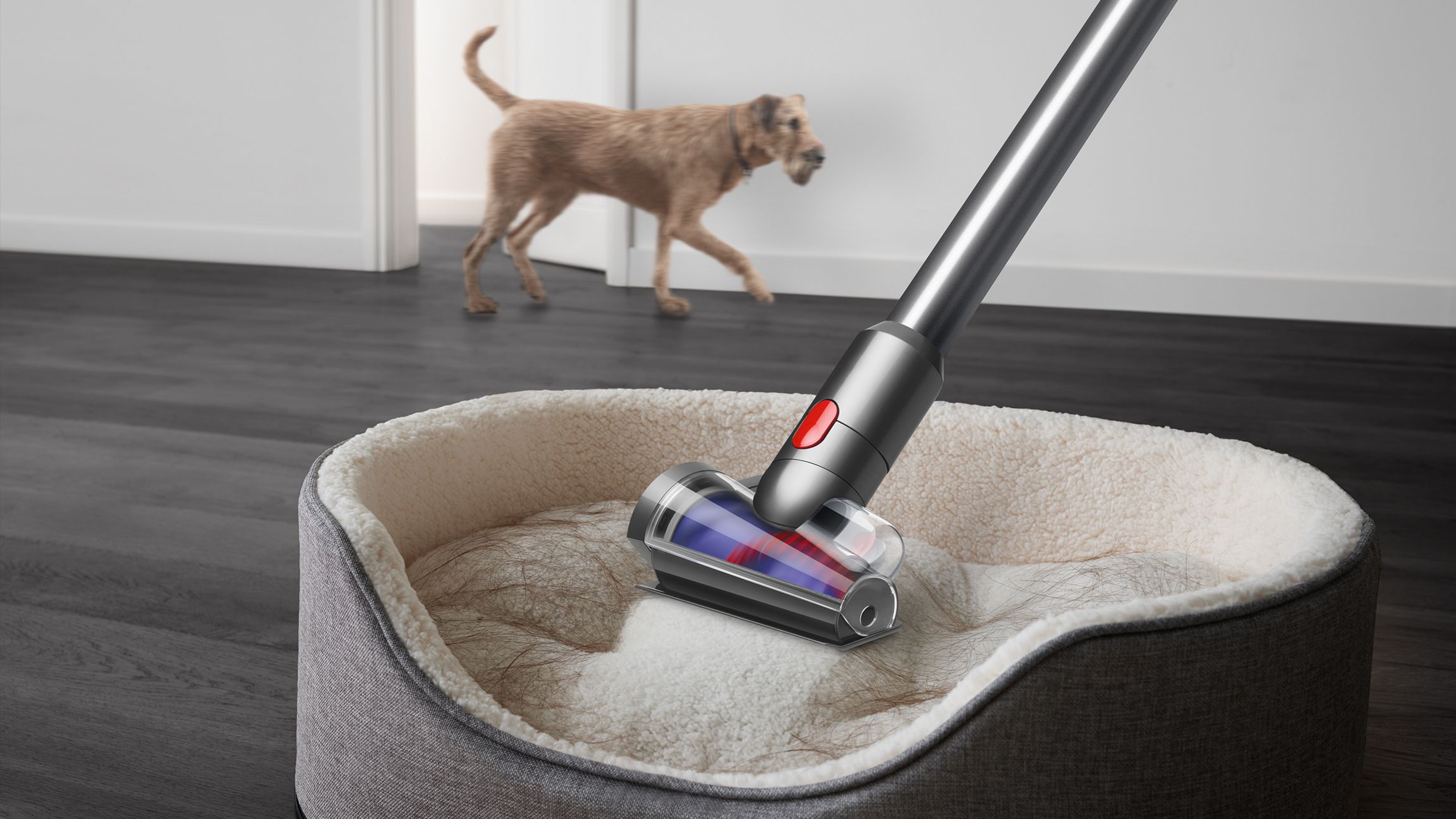 Aspirateur sans-fil Dyson V15 Detect™ Absolute 4