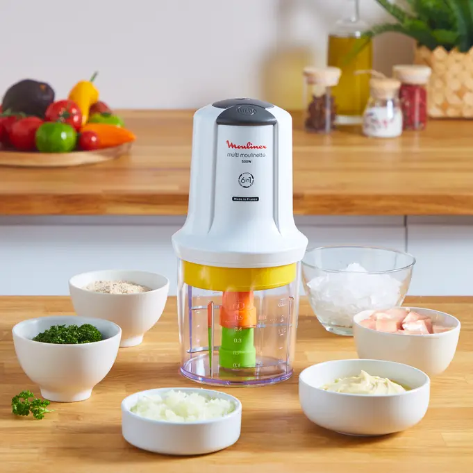 Multimoulinette 6 en 1 - 500W 3
