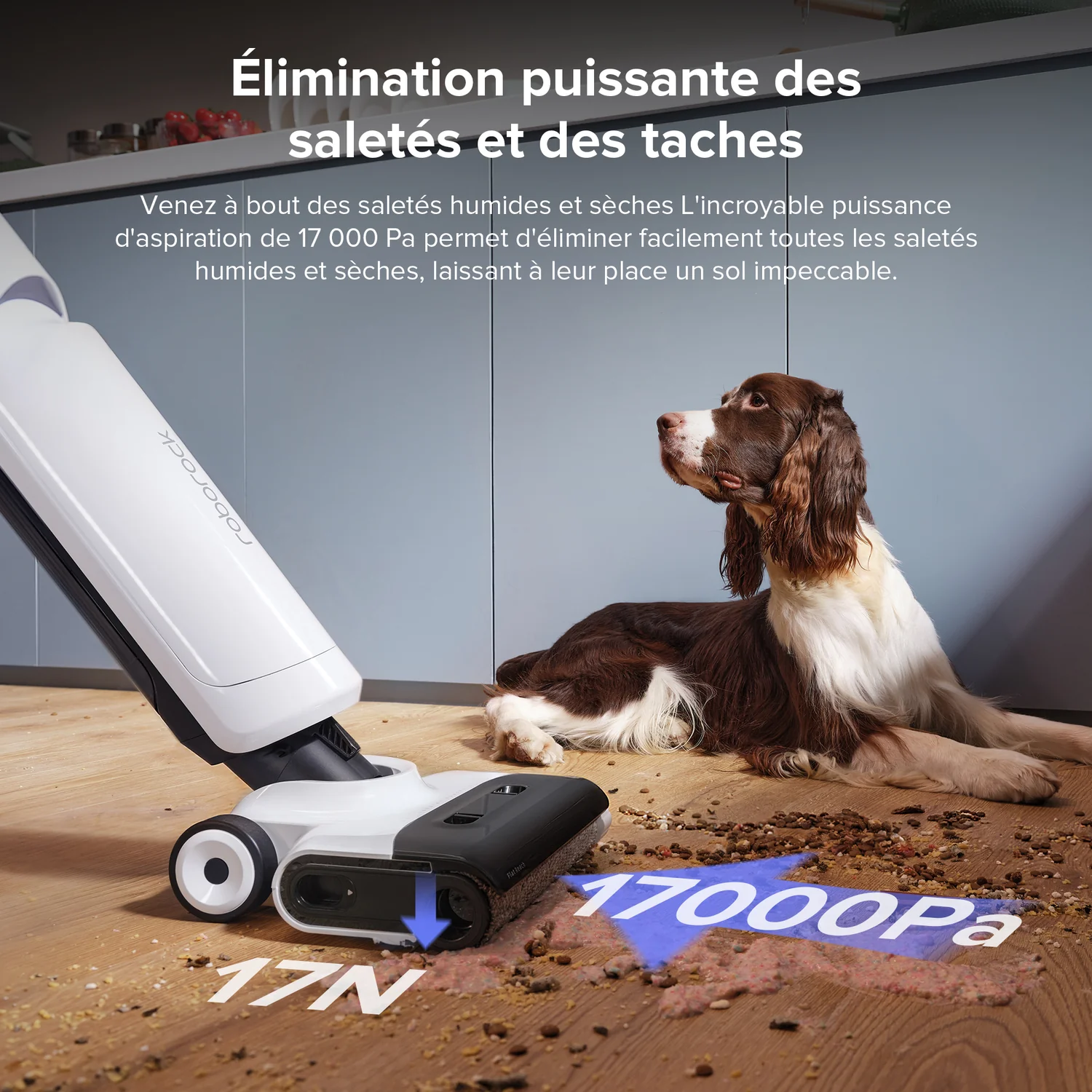 Roborock Flexi Lite Vacuum and Mop 4